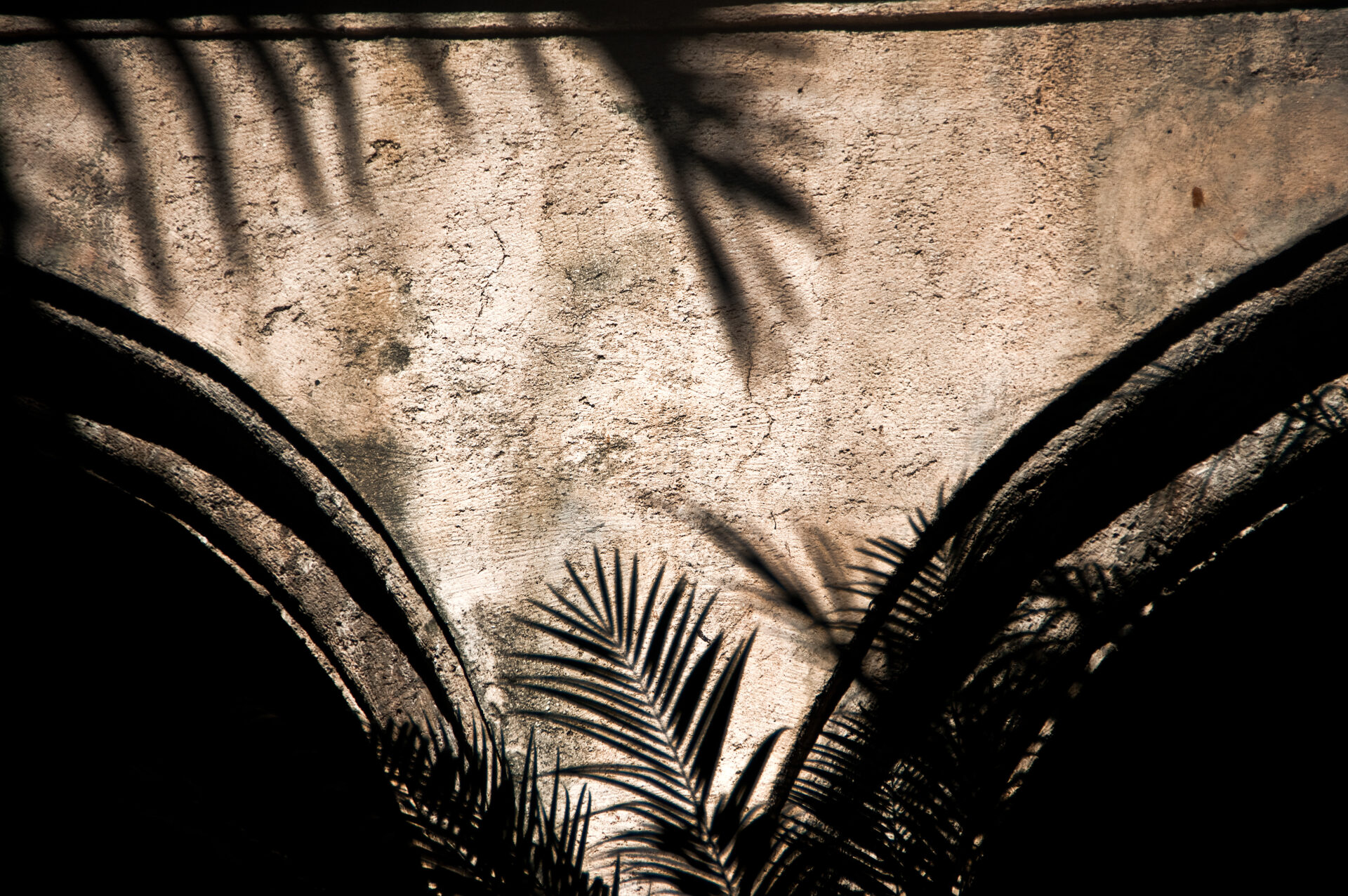 Sombras - Jardines de la Iglesia de San Francisco - (La Habana)