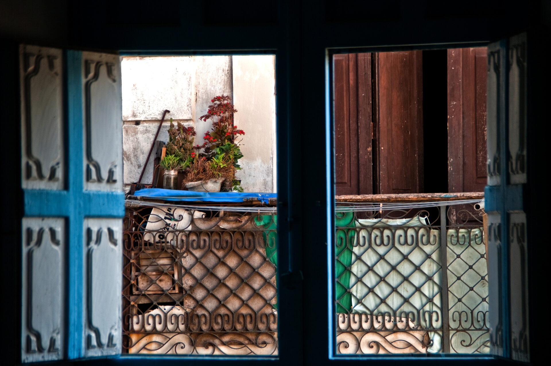 Plantas al frente...   (La Habana)