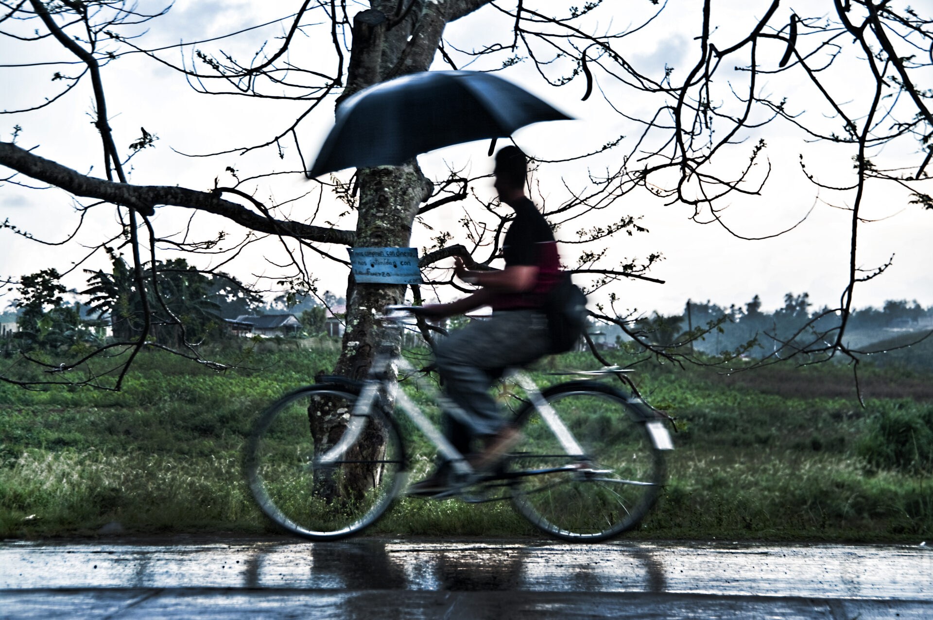 Bajo la LLuvia - Viñales