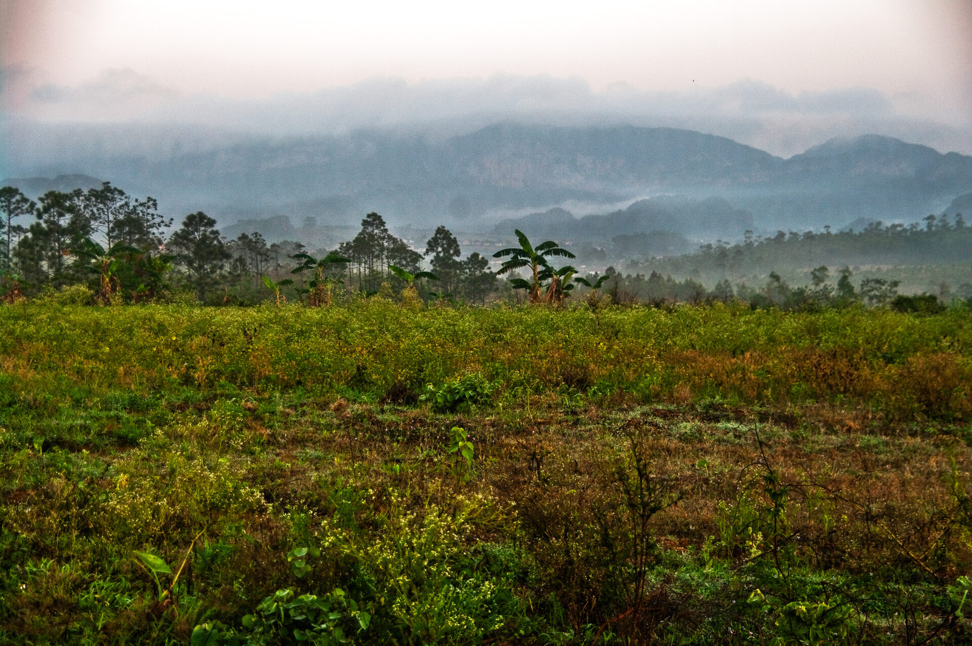 Paisaje matinal I  (Viñales)