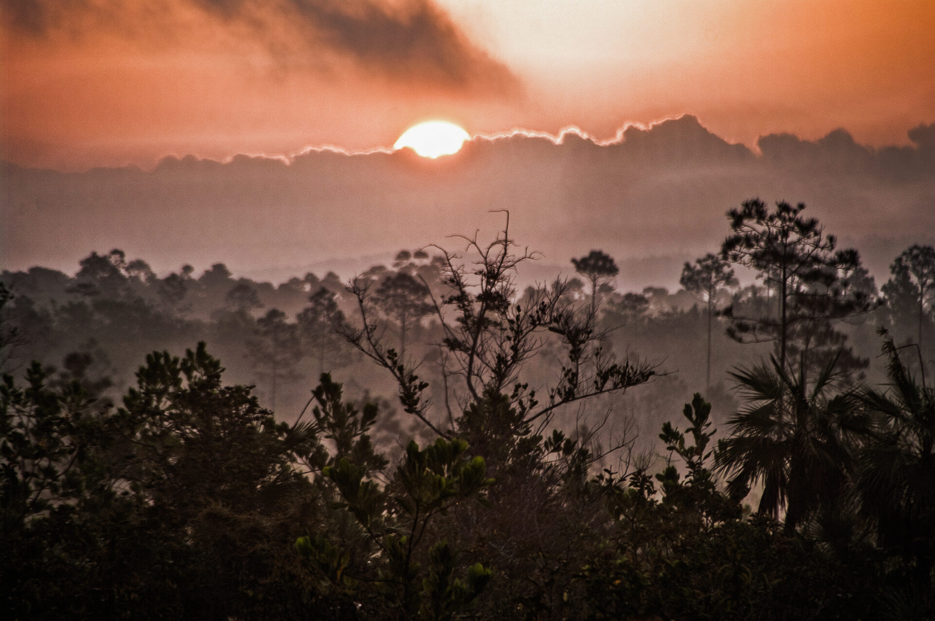 El valle y sus mogotes en neblina matinal con una luz tenua anunciando el sol.  II   (Viñales)