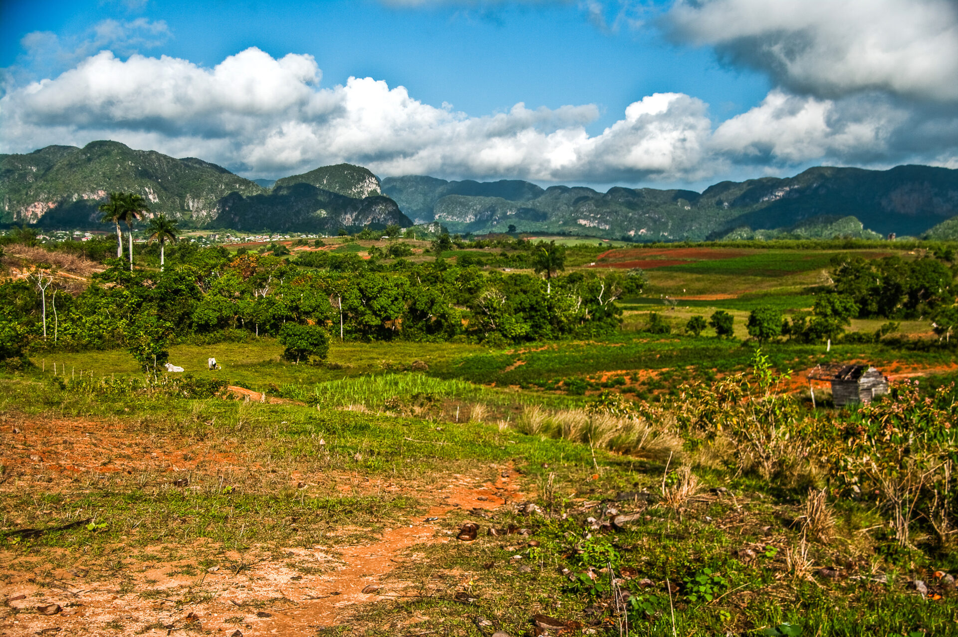 Paisaje matinal II  (Viñales)