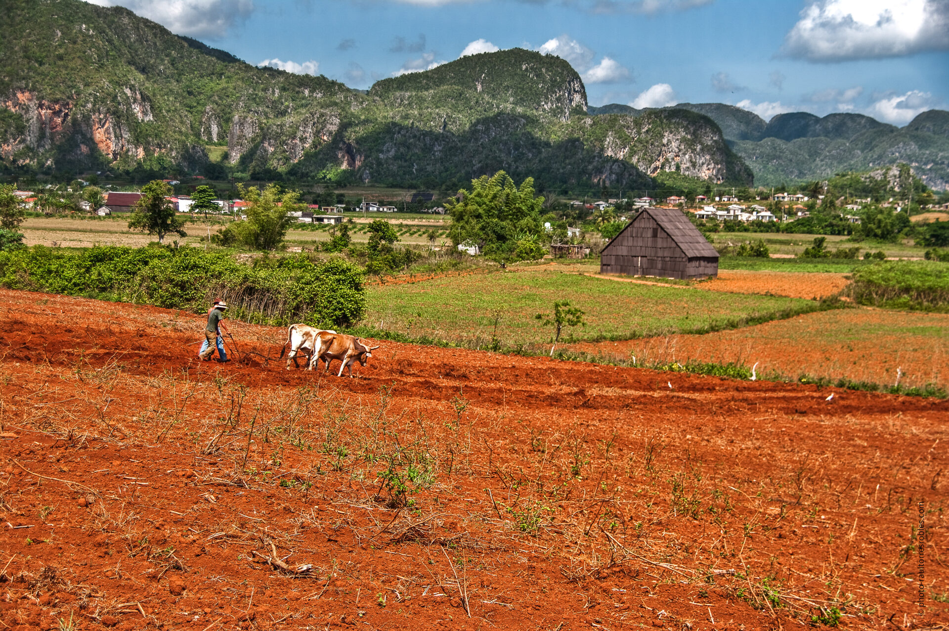Paisaje matinal III  (Viñales)